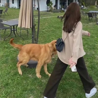 死水
